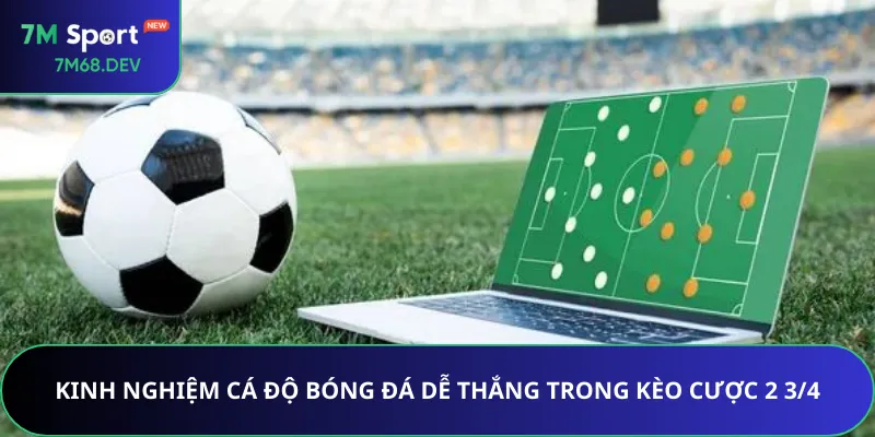 Kinh nghiệm cá độ bóng đá dễ thắng trong kèo cược 2 3/4